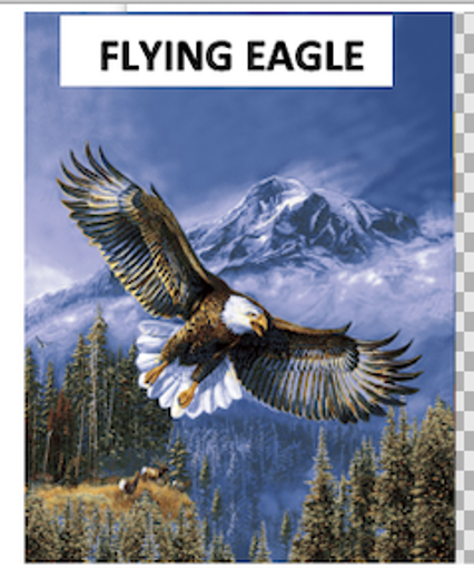 Picture of Blanket Mink Millenium 80"X96" - No BLANKET-LUX