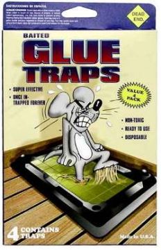 Picture of Mouse-Insect Glue Trap 4Pk - No CM-104-12